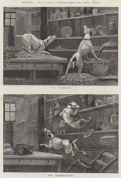 De Premises en de Gevolgen